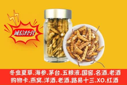 吉阳区求购回收散虫草