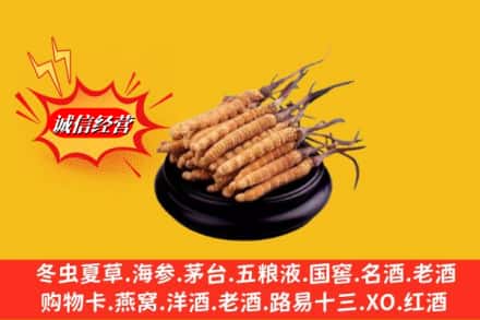 吉阳区回收虫草多少钱每克